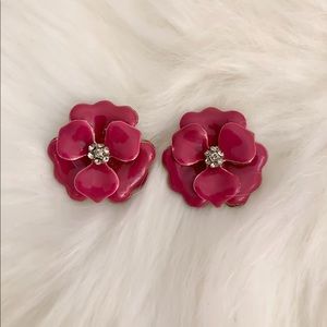 Beautiful Pink Flowers